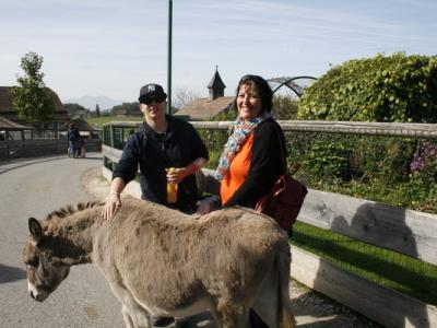 Barrierefreie Freizeitgestaltung in Österreich und Bayern 13.07.2016