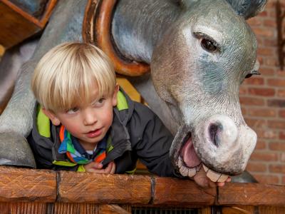 Goldesel (© Freizeitpark Ruhpolding)