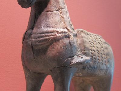 Pferdchen im Römermuseum